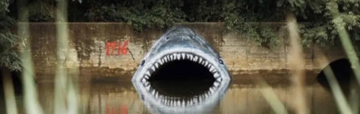 A large mural of a drainage tube that someone made into a shark with its teeth around the entrance to the tunnel so it looks as if it could swallow anything that enter the pipe.