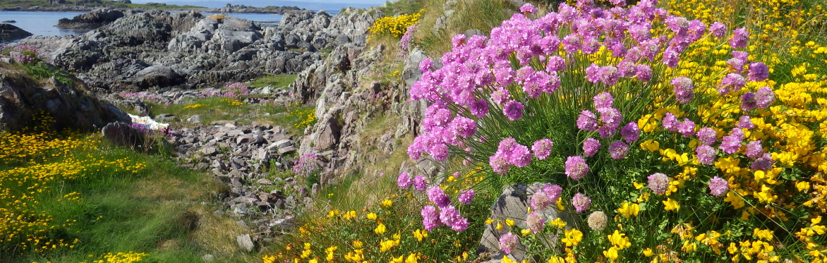Scottish Botanists' Conference 2020