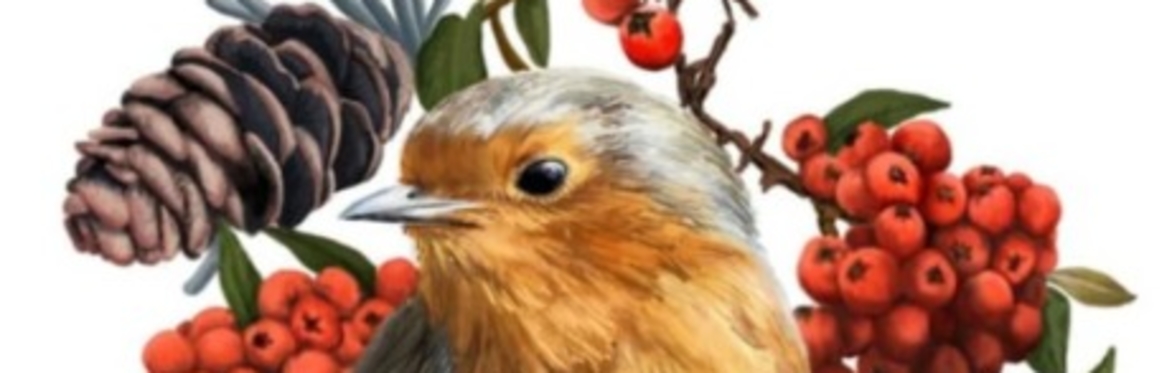 Create your own Christmas Cards.