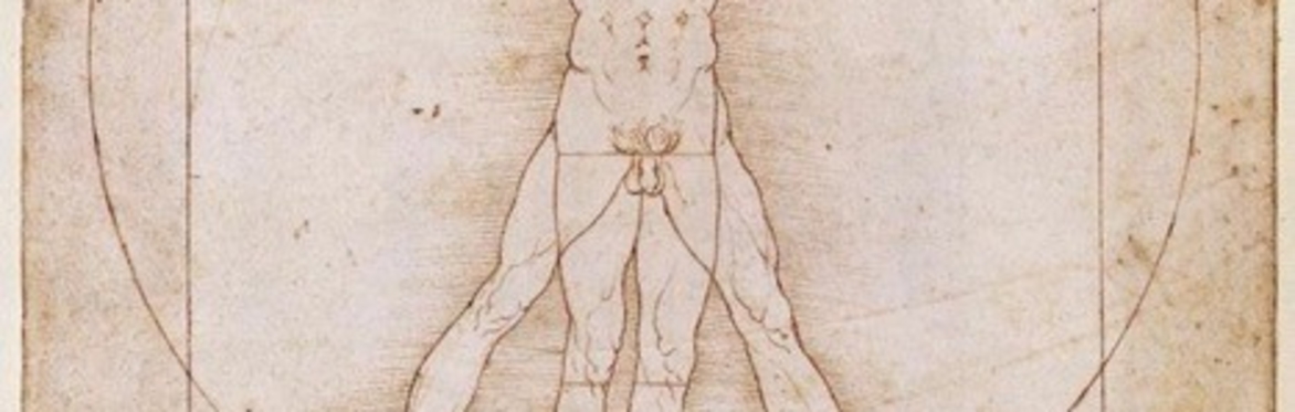 Art History With a Difference -  LEONARDO : Drawing Thought - Ronnie Ireland
