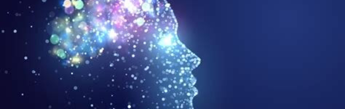 Mindful Somatic Body Mind Behaviour Training IN PERSON