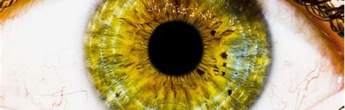 The Eye