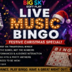 Christmas Party Night with Musical Bingo Adults only