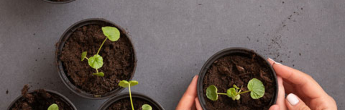 Nature Arts Workshops for Families