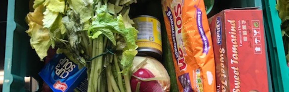 How It Feels: Navigating Community Food Support