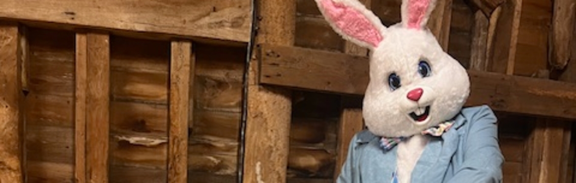 Meet the Easter Bunny and crafts!