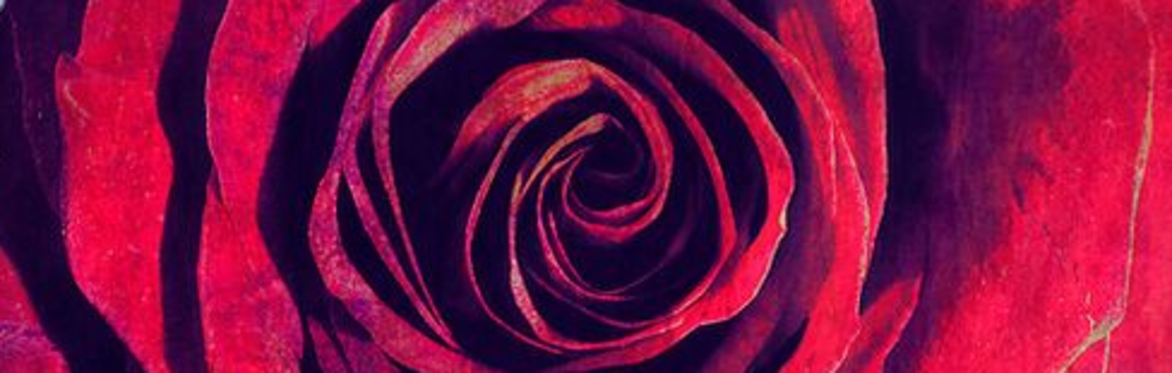 Free Your Heart: An Evening of Kirtan and Sacred Chant with Carrie Grossman