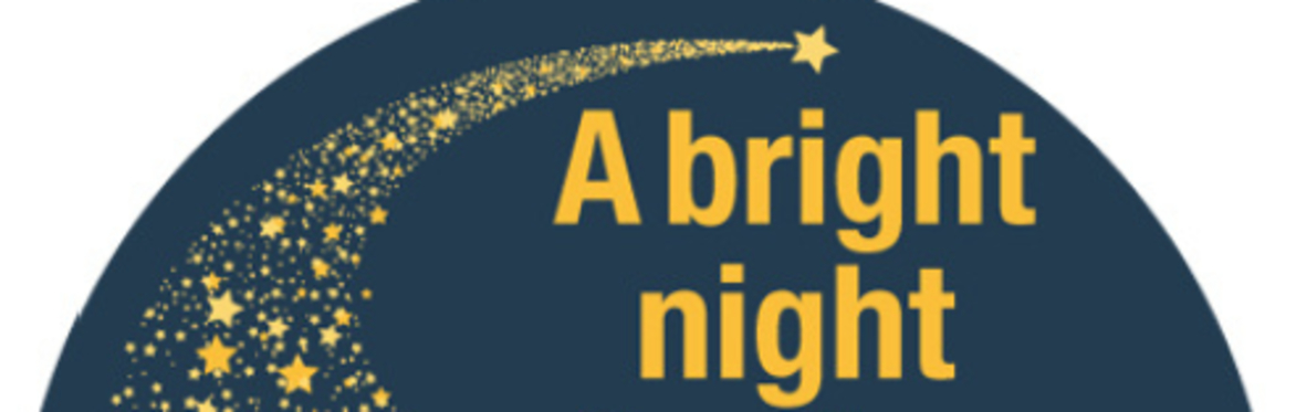 Evanston Arts Council’s annual A Bright Night for the Arts