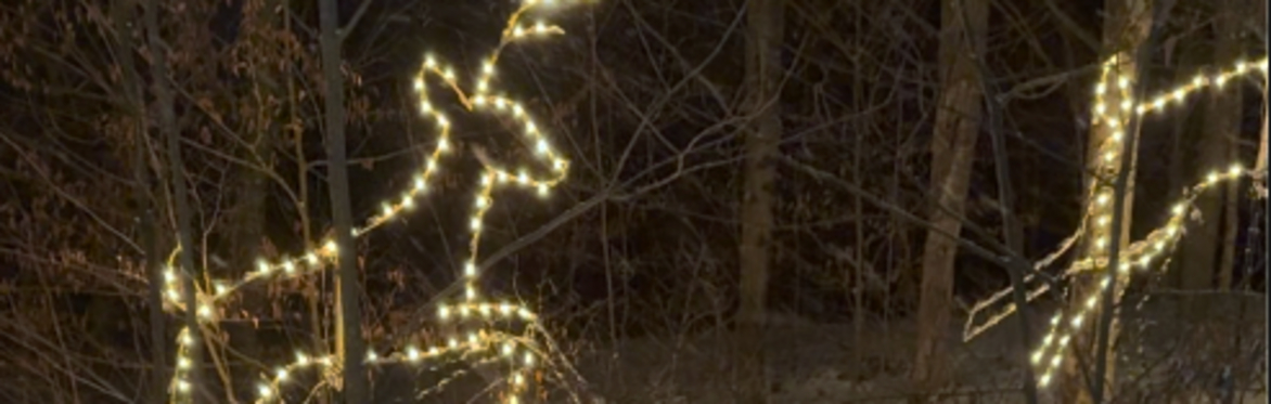 Winter Wonderland Walk Through (Thanksgiving weekend)