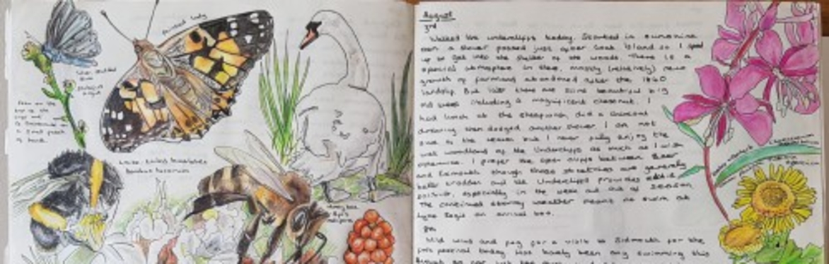 Introduction to Nature Journaling - Alex Boon