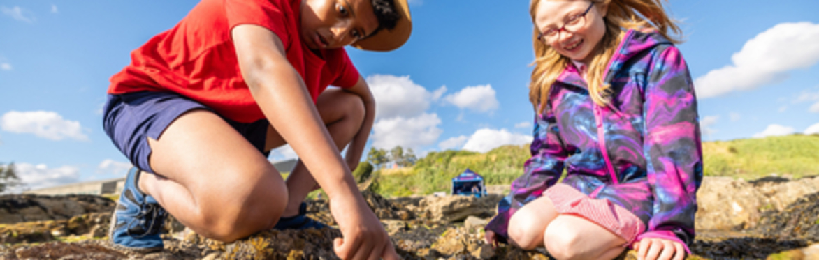 Coastal Exploration at Kinterbury Creek