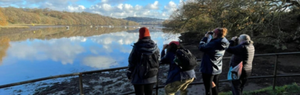 Kinterbury Creek Bird Walk
