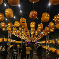 Pumpkin Nights Outing - [Limited Sale]