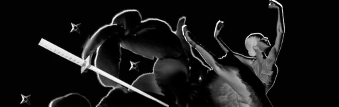 Ninja Ballet Fundraising Performance