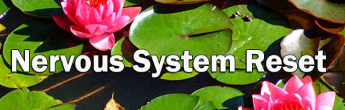 21-week Nervous System Reset Course