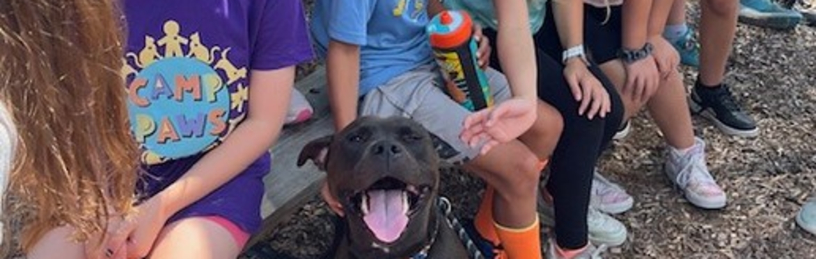 Camp PAWS - Summer Session 1 2026