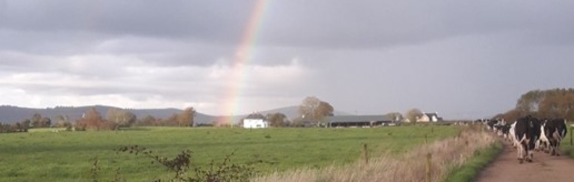 Farming For Nature Walk with Gearoid Maher - August (Co. Limerick)