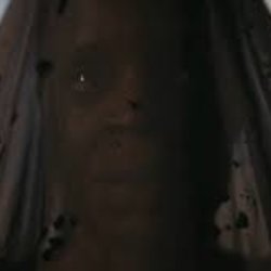 The veiled face of a woman