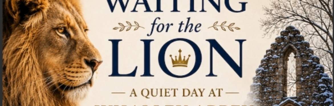 Quiet Day - Waiting for the Lion