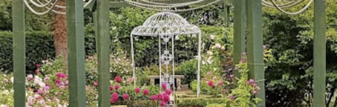 Preparations for Poulton Hall Garden Party
