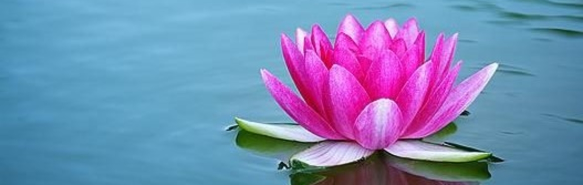 Monday Evening Meditation class