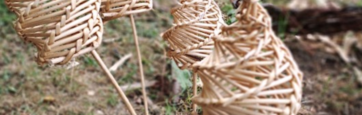 Willow Mushroom Weaving