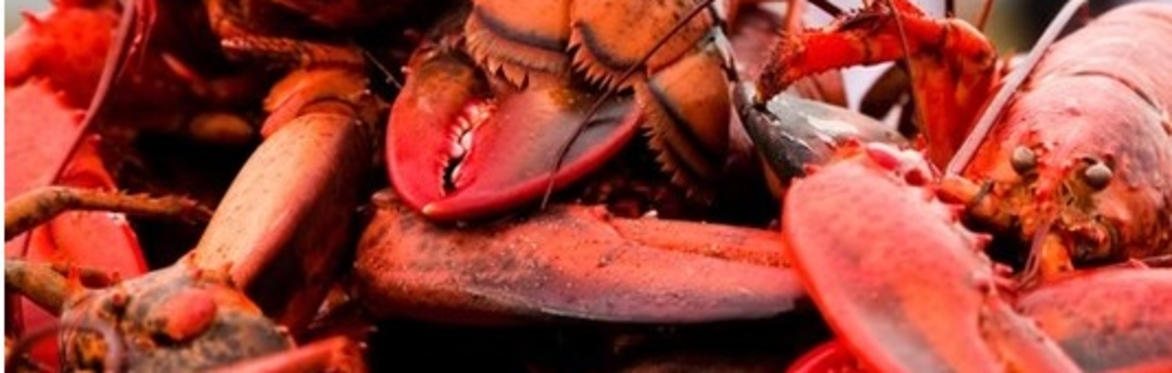 Red Claw Lobster Bakes at Ocean Gate Inn