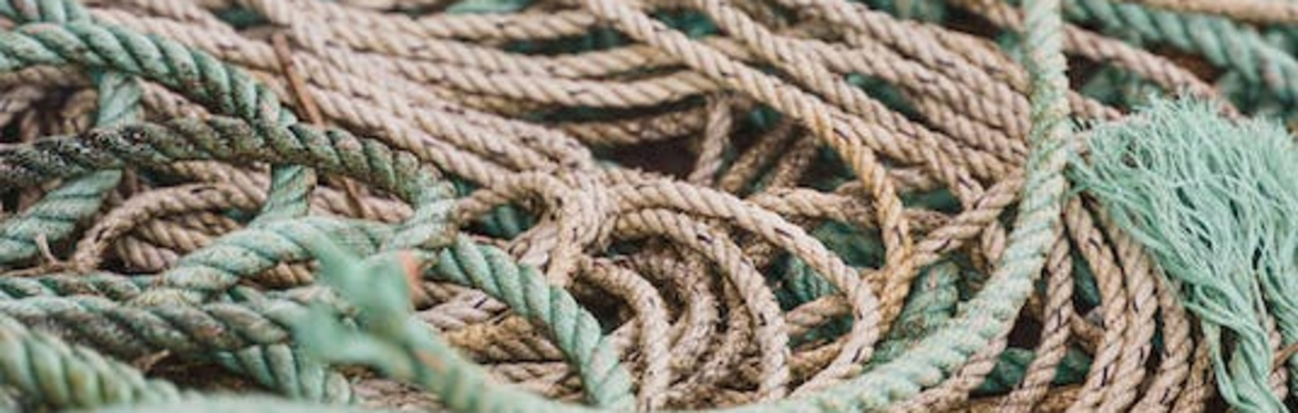 Monthly Meeting: Intro to Suspension Transitions & The Moco+ hip harness