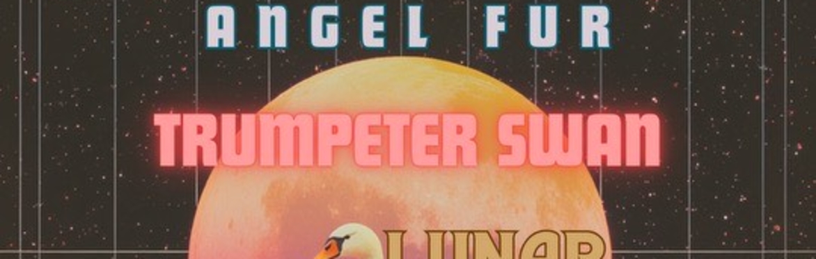 Angel Fur w/ Trumpeter Swan and Lunar Gold at The Far Out Lounge