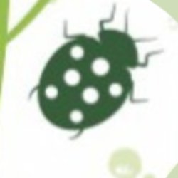 Lochhill BioBlitz!