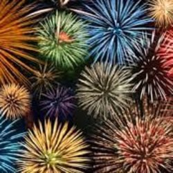 Holmer Green Community Fireworks