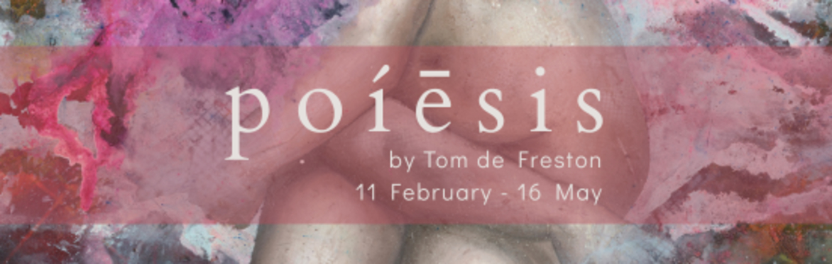 poiesis, by Tom de Freston: Private View