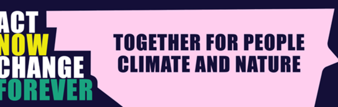 Act Now, Change Forever: What Happens Next? Developing a Campaign Action Plan