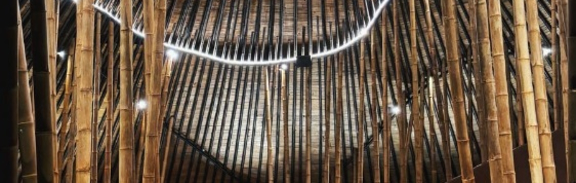 UK Bamboo Summit 2025