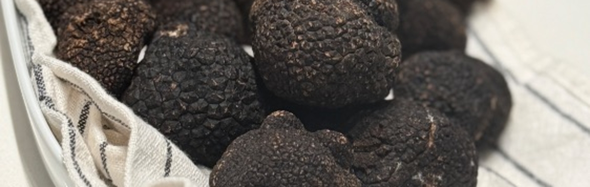 From Terroir to Table: A Truffle Dinner Experience