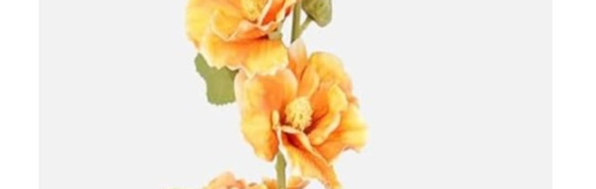 Hollyhock