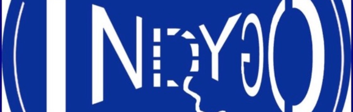 Indygo Kidz STEAM Makers Club