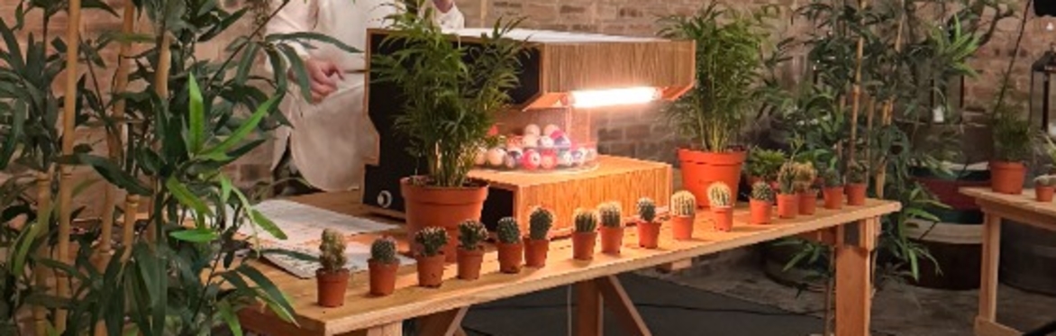 Plant Bingo in The Barn