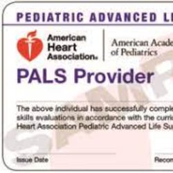 PALS Initial $220 ($110 down/$110 at class)