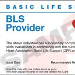 BLS 2025 Dates $80 ($40 down/$40 balance at class)