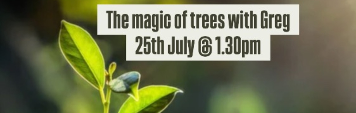 The Magic of Trees with Greg Oakley - July 25th @ 1.30