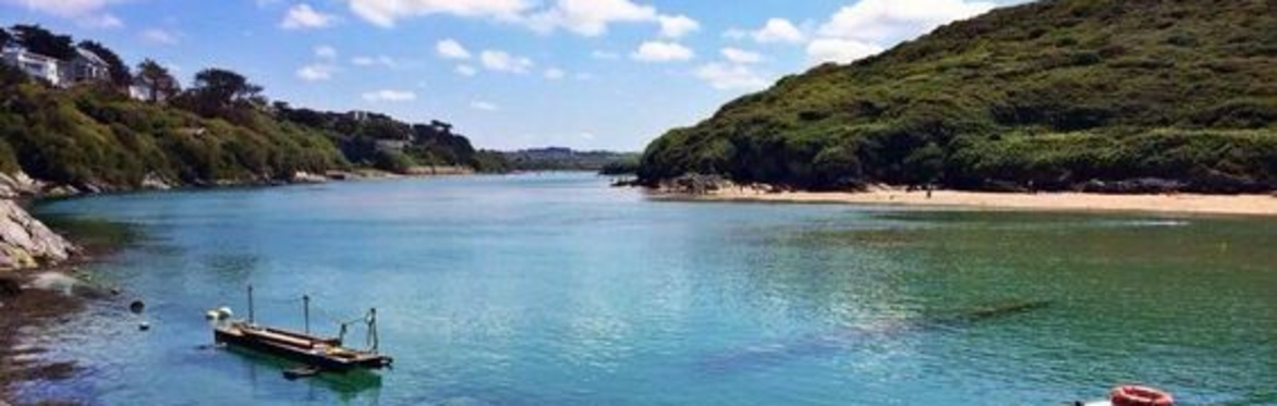 Gannel Estuary Slow Swim