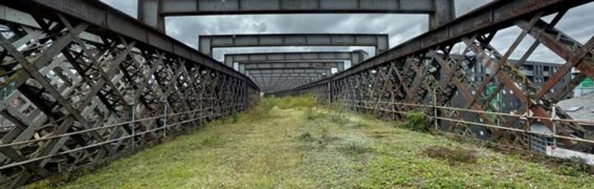 Photo showing grassy ground on the Castlefield Viaduct