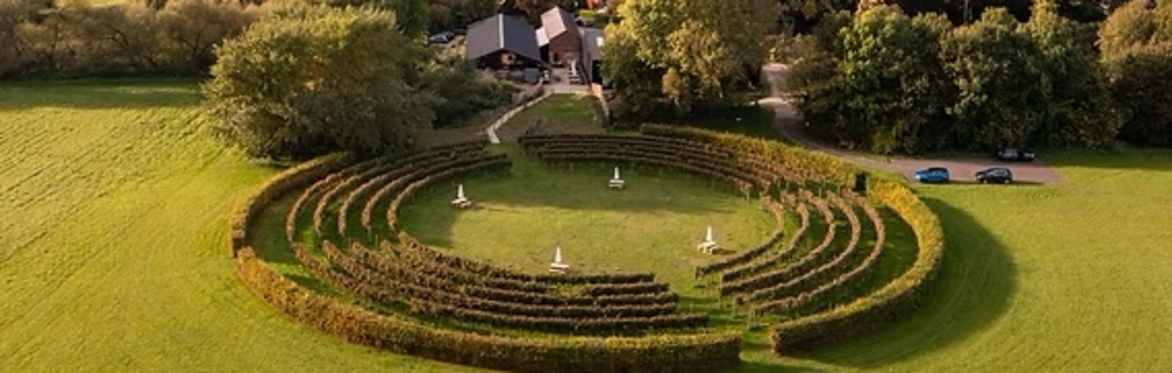Meet the Winemaker: Black Chalk Vineyard