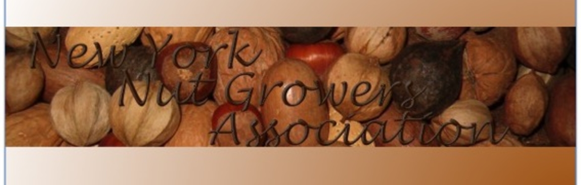 New York Nut Growers Association 2023 Summer Meeting
