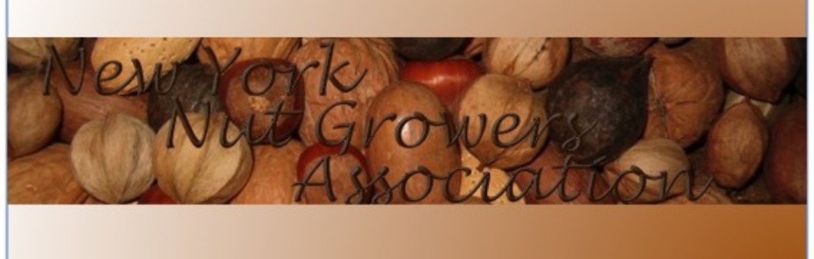 New York Nut Growers Association 2020 Fall Meeting