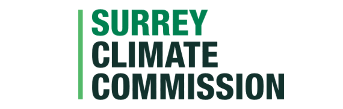 Surrey Resilience Grants webinar