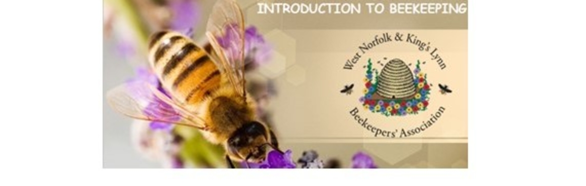 Introduction to Beekeeping Course 2026