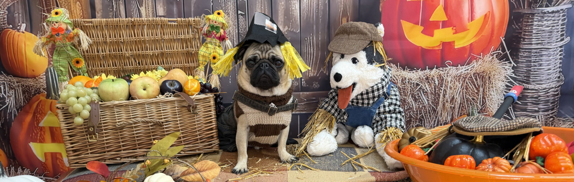 Harvest Festival Photoshoot
