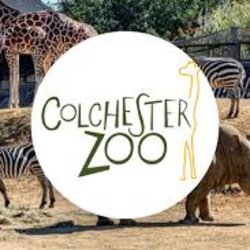 Colchester zoo group visit